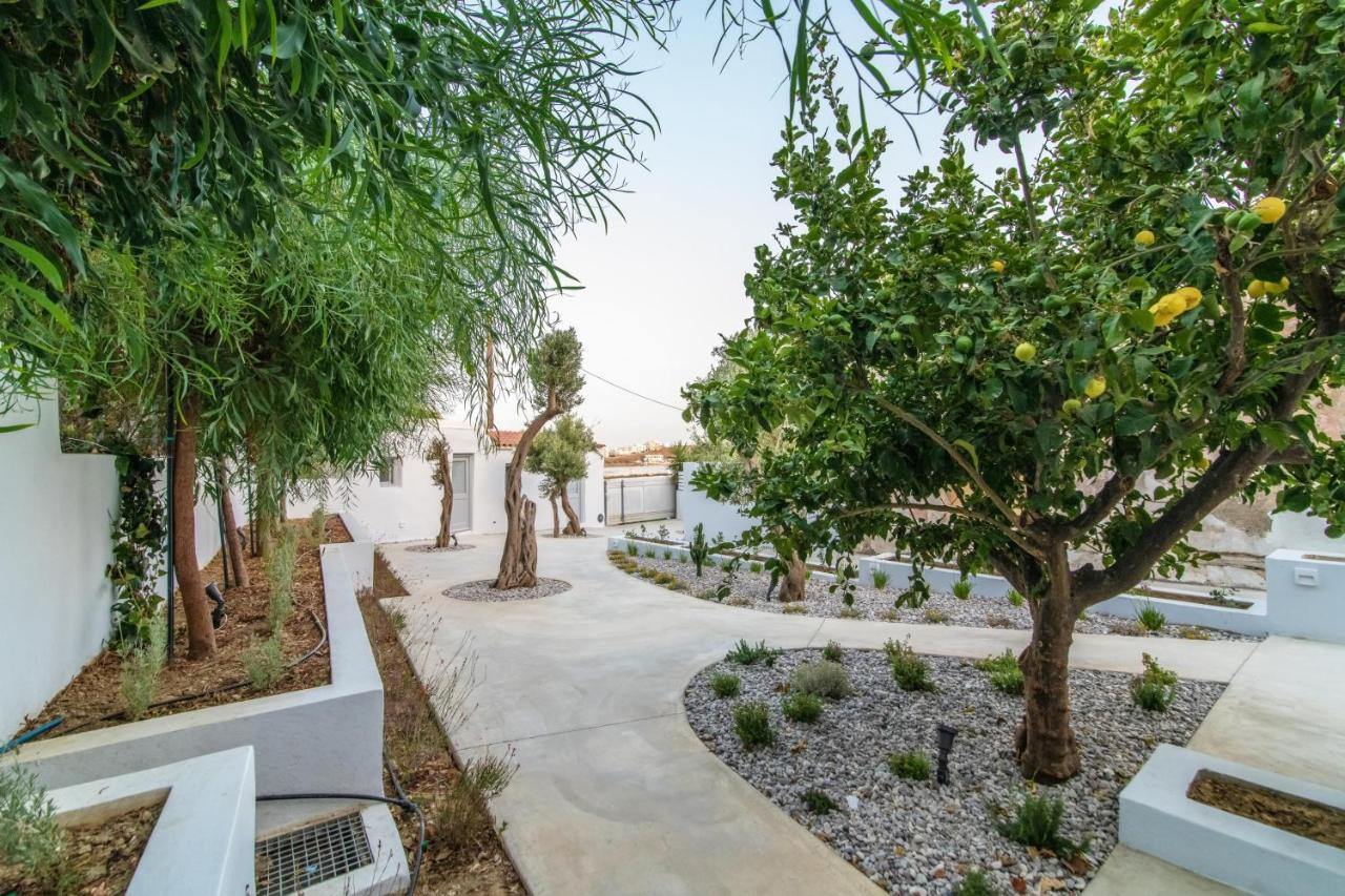 Acanthus Houses Tinos ภายนอก รูปภาพ